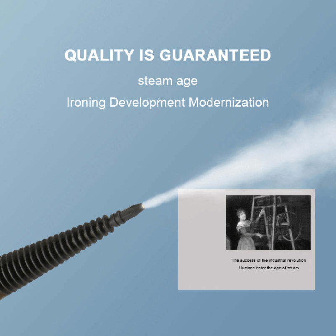 DF Steam Cleaner Portable