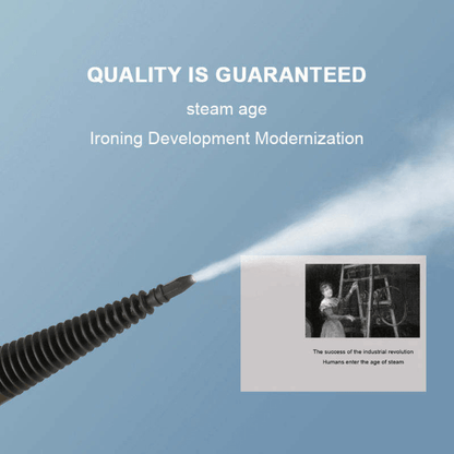 DF Steam Cleaner Portable